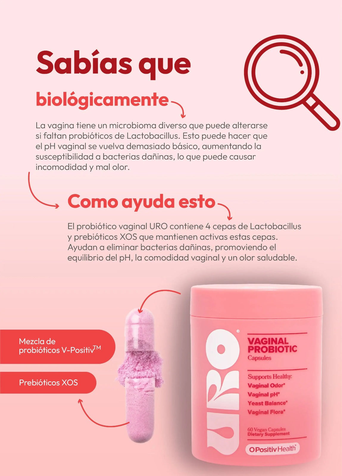 URO - PROBIÓTICO ÍNTIMO FEMENINO 🍓